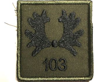 103 Grond Gebonden Verkenningseskadron (GGVE)